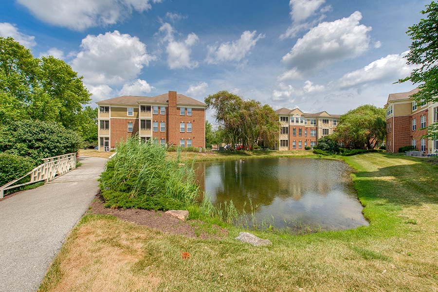 Northaven apartment's pond and grassy area.