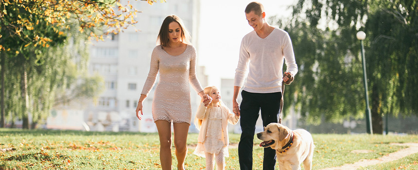 A family walking with their dog at a park.